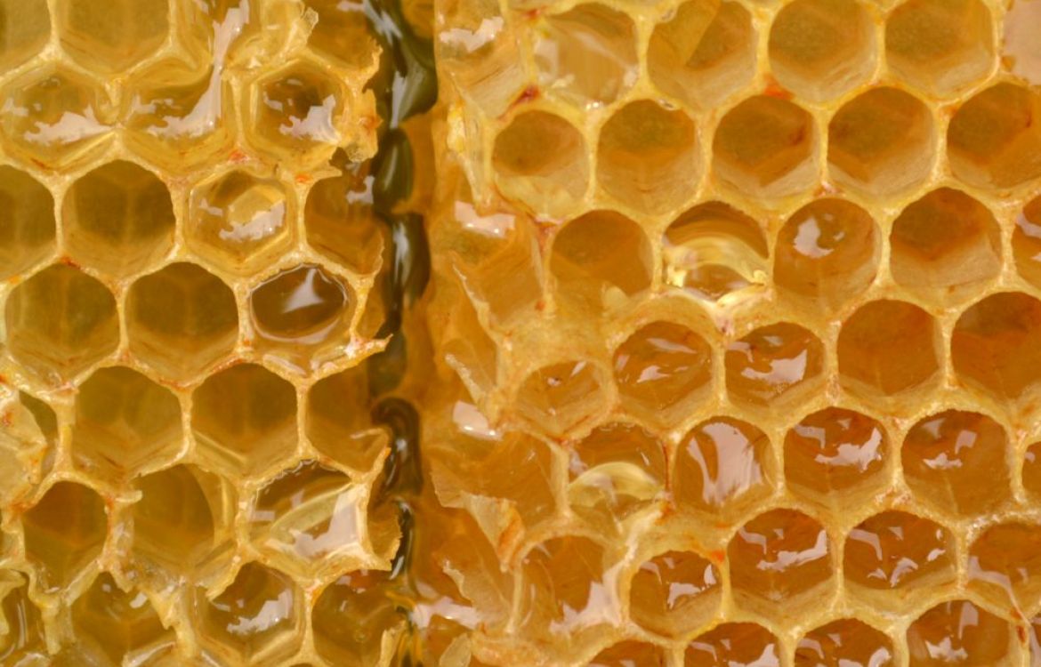 rămășițe valoare Pol fagure de miere proprietati Legi și reglementări ...